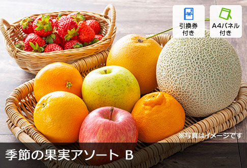 季節の果実アソート B