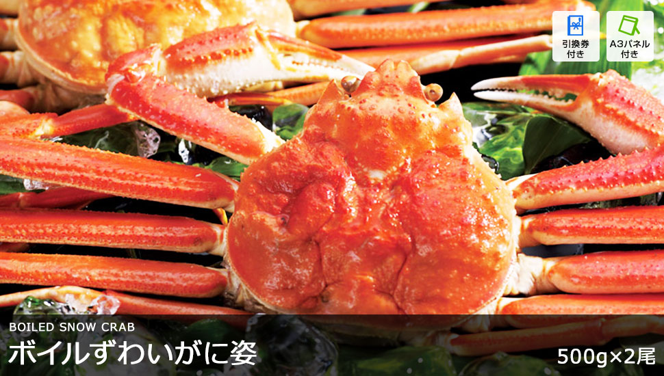 ボイルずわいがに姿 500g×2尾