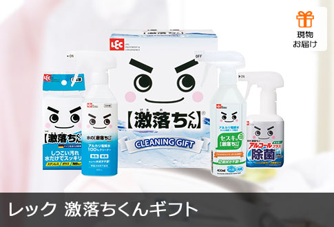 レック 激落ちくんギフト